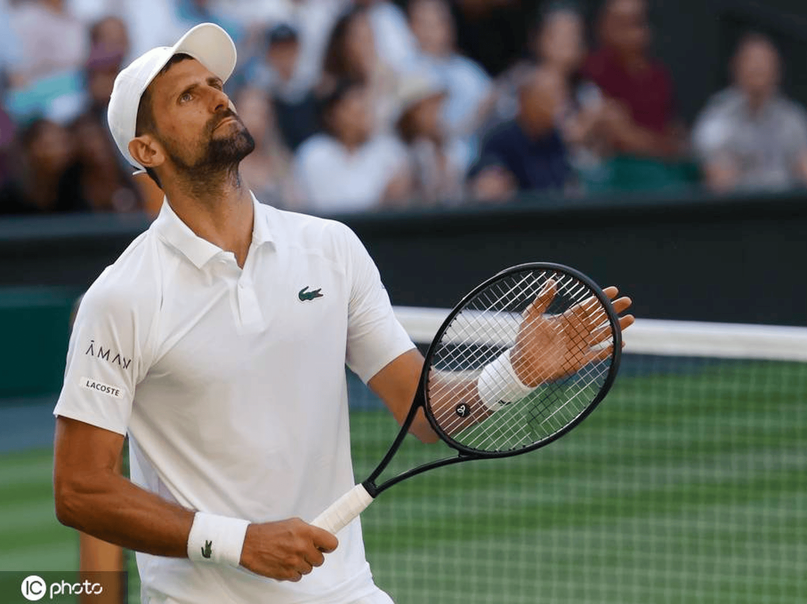 九游娱乐-德约科维奇连续十五场比赛得分超过逆转，雄鹿挑战极限！的简单介绍